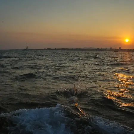 Lägenhet Paradiso B 210 Private Sea View *